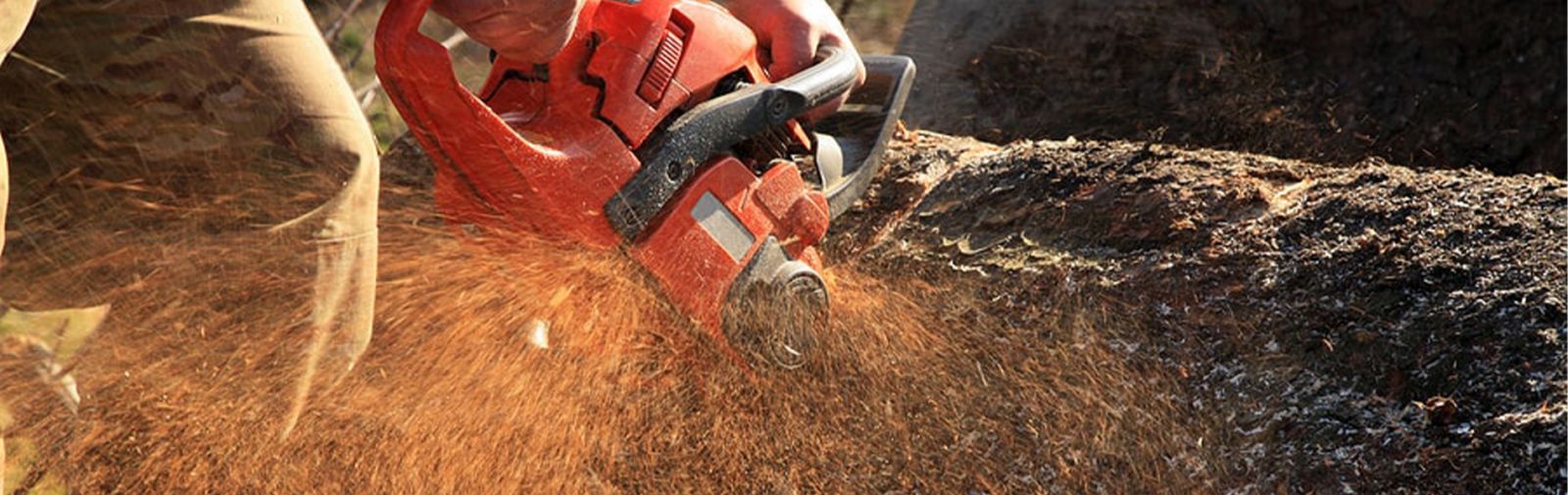 Thunder Ridge Tree Service Images